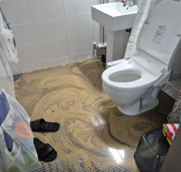 박** 고객님의 후기 이미지